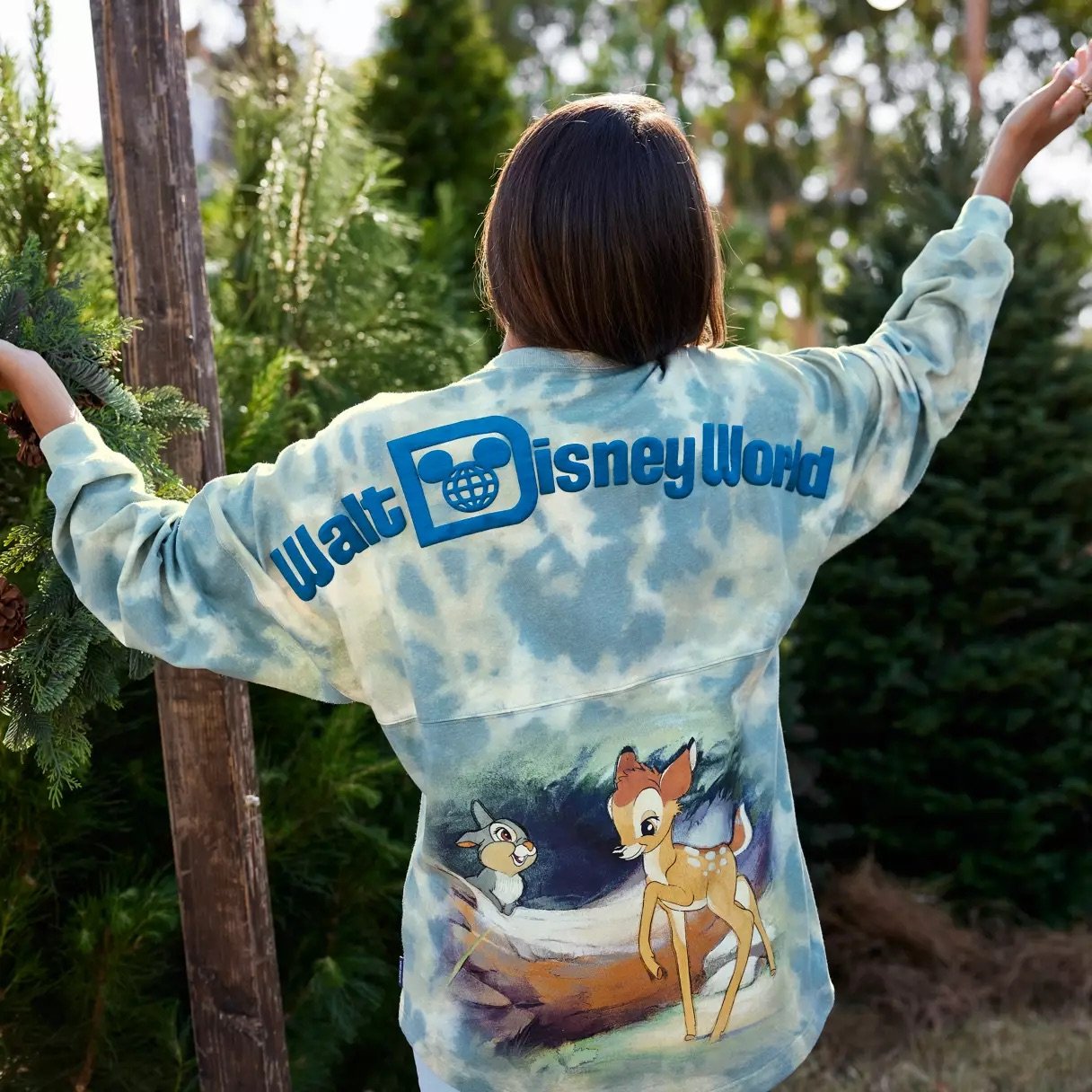 Disney spirit deals jersey hoodie